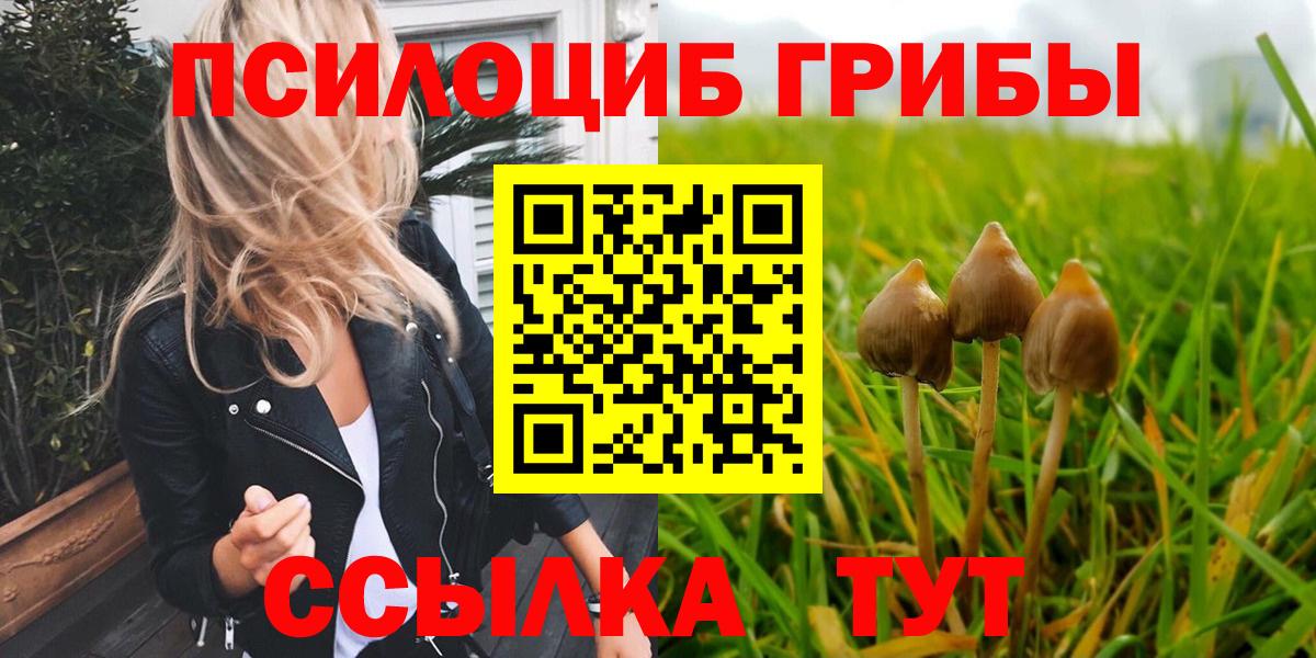 Галлюциногенные грибы ЛСД  Вход с VPN  Грозный  закладка  Псилоцибиновые грибы Psilocybine cubensis 
